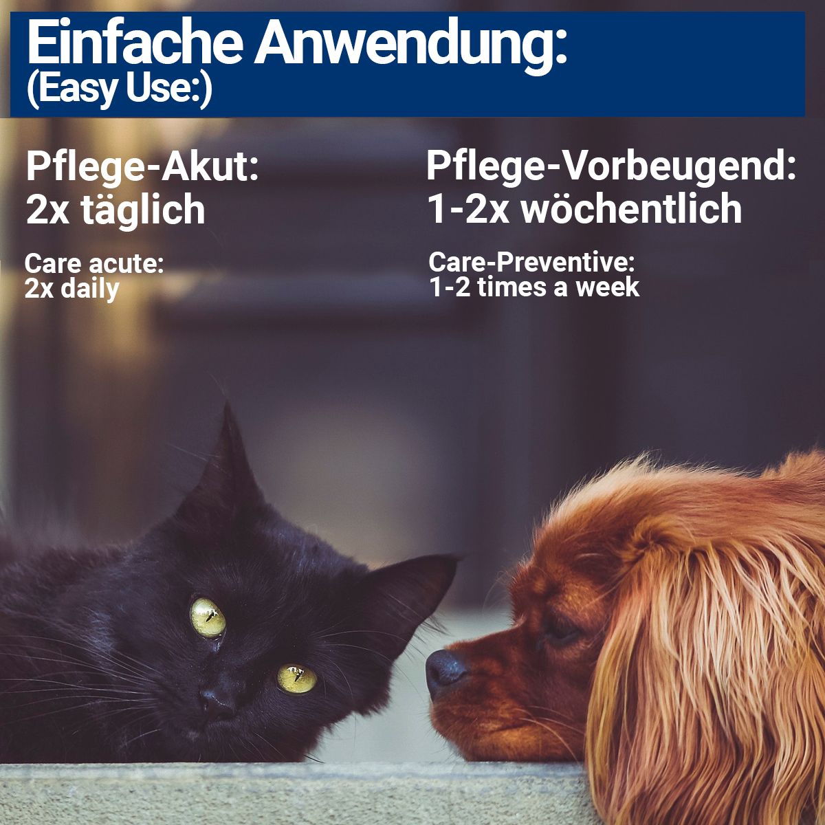 BMUT Ohrentropfen für Hunde & Katzen mit kolloidalem Silber