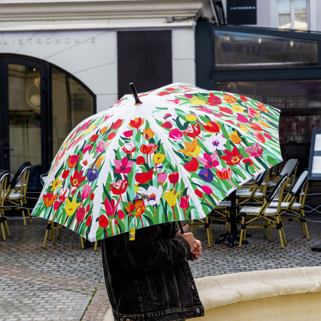 Parapluie - Rainbeau
