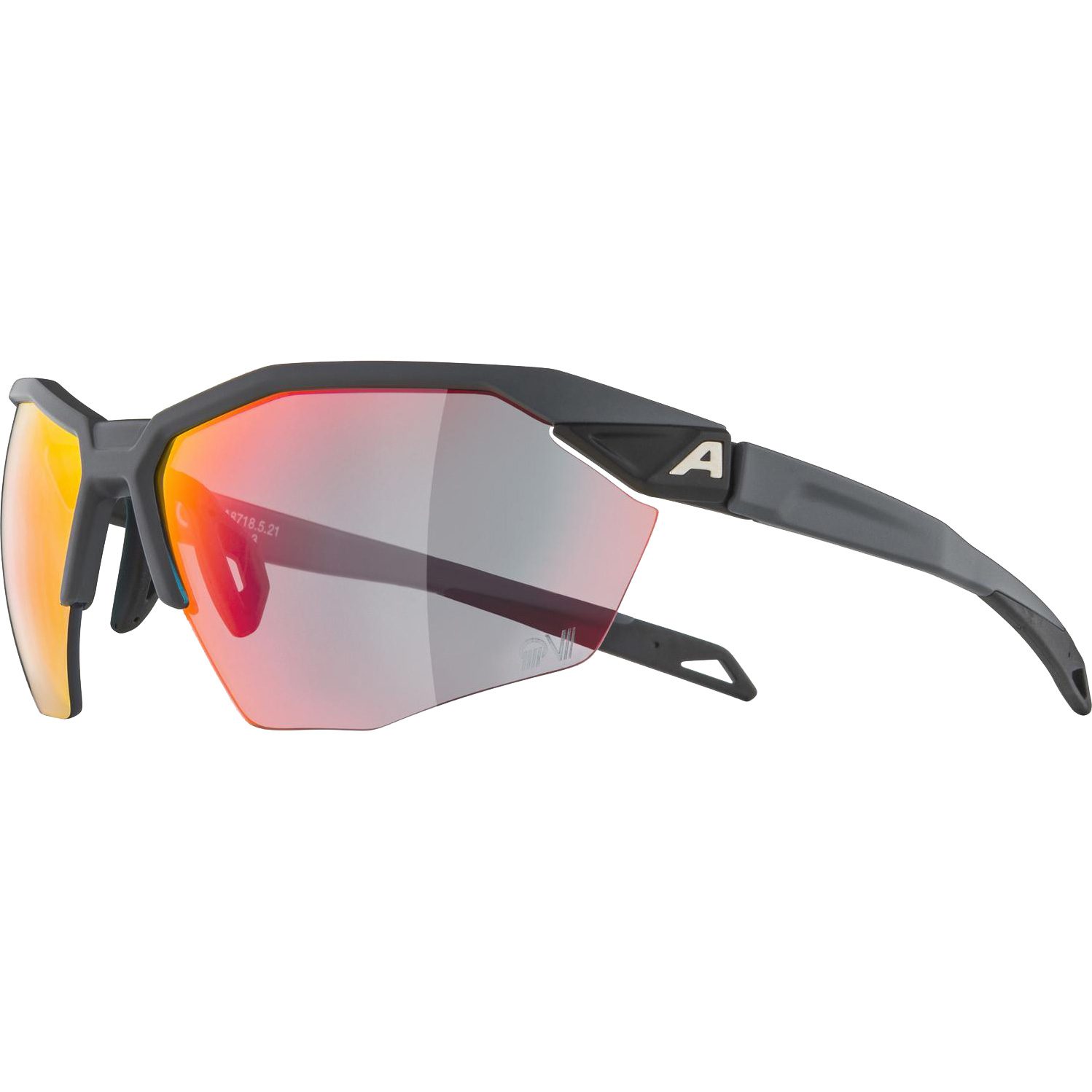 Alpina Twist Six HR QV Sonnenbrille grey matt