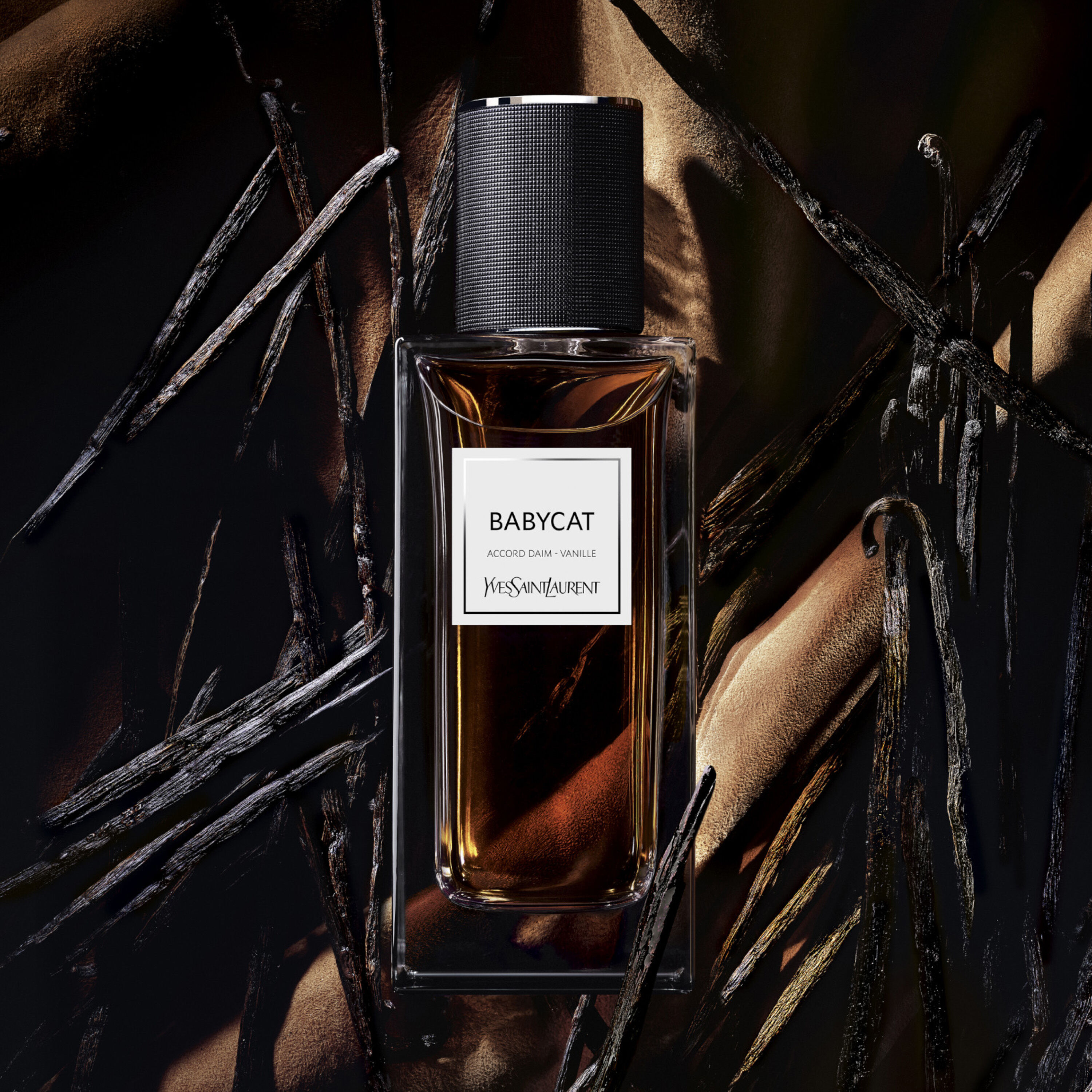 Babycat - Le vestiaire des parfums  HAUTE PARFUMERIE - EAU DE PARFUM - BOISÉ AMBRÉ