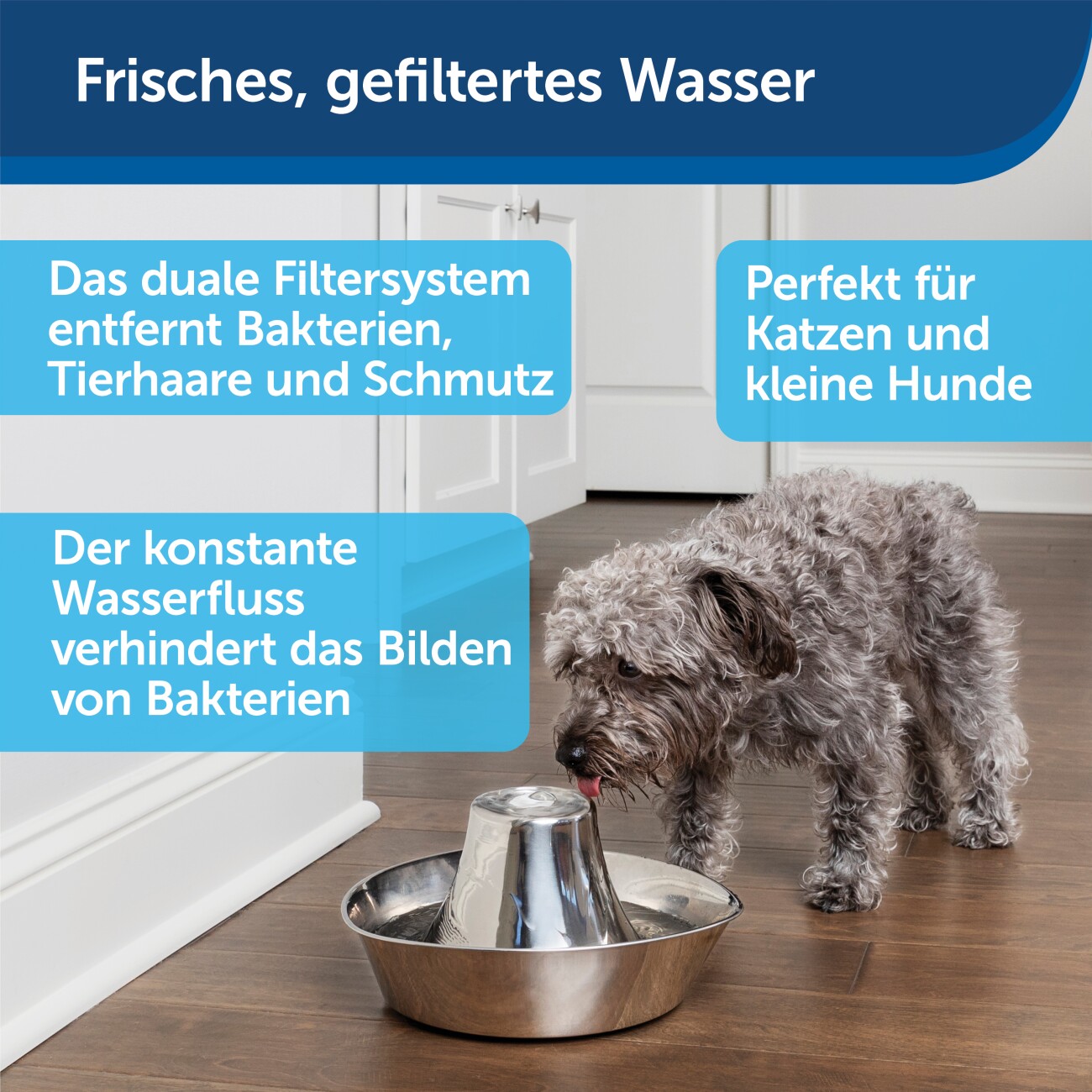 PetSafe Trinkbrunnen Seaside