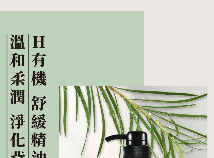 SOFNON - Tsaio Body Wash