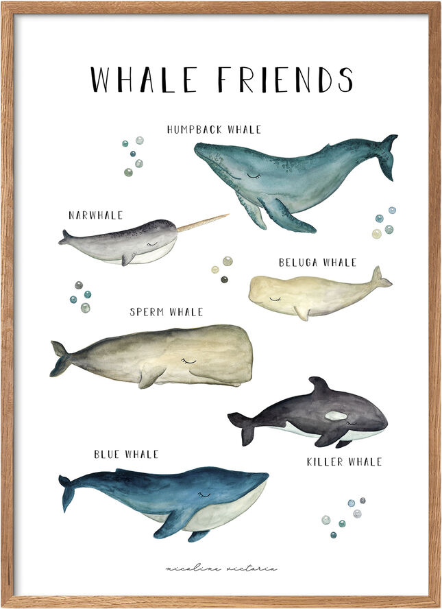 Poster & Frame Nicoline Victoria-Kids - Whale friends Flerfarvet