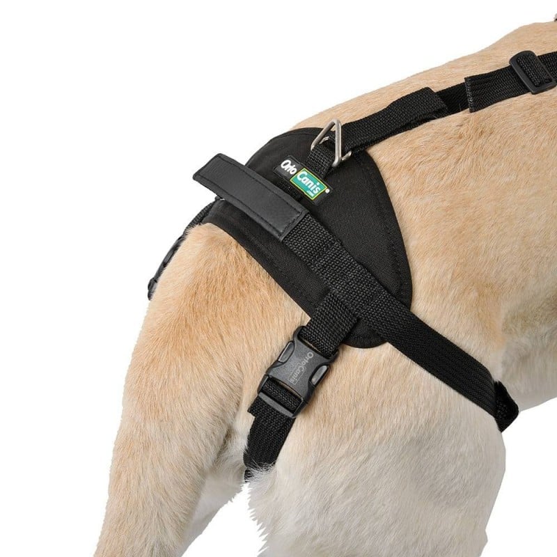 Arnês de corpo inteiro para cães. Suporta as patas dianteiras e traseiras.