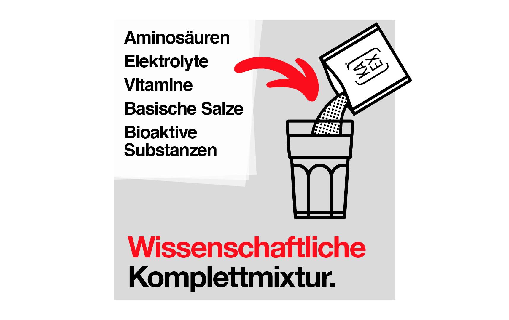 Go 460 mlVegane Nahrungsergänzung mit Grapefruit-Zitronenaroma