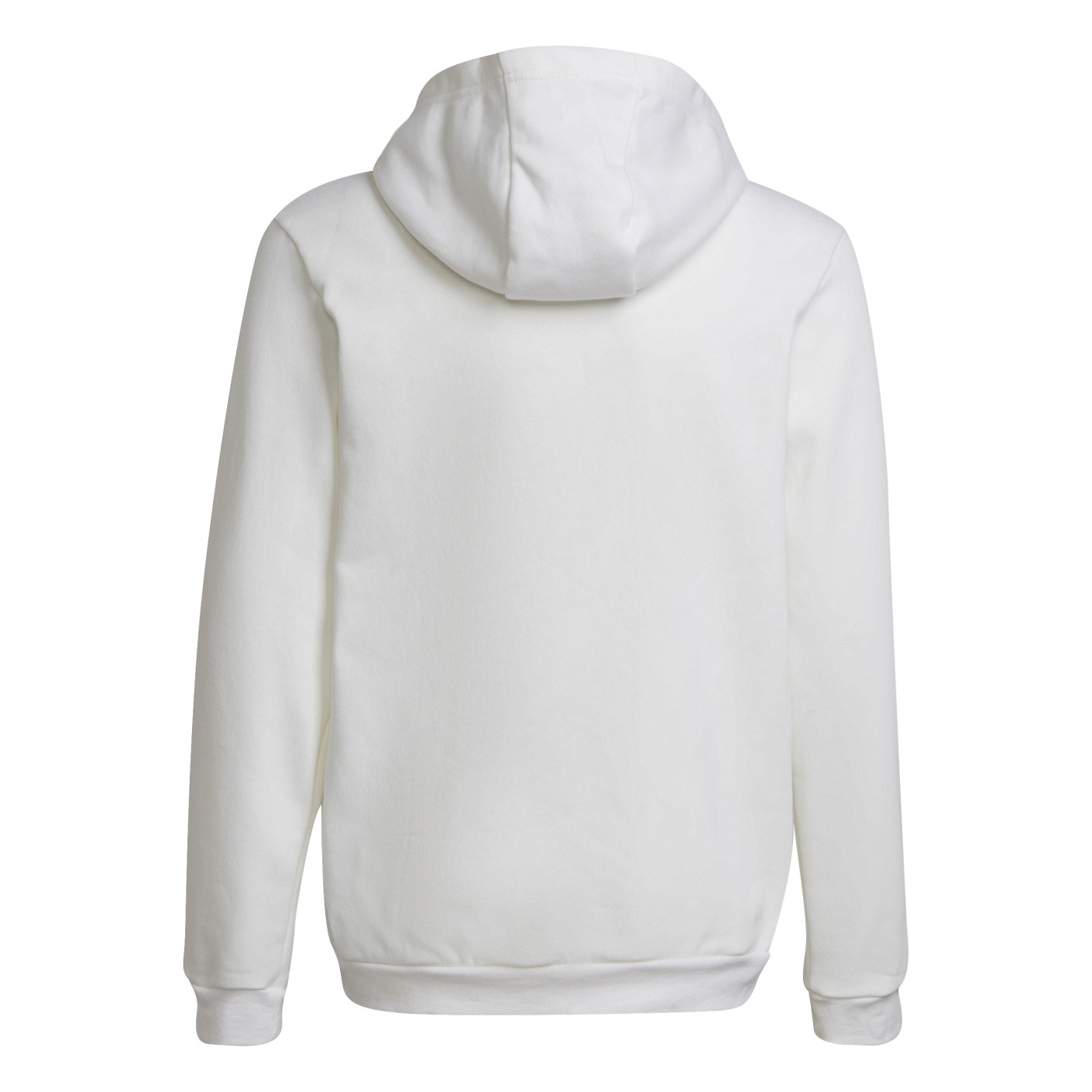 Adidas Entrada 22 Sweat Hoodie Kids Wit Zwart