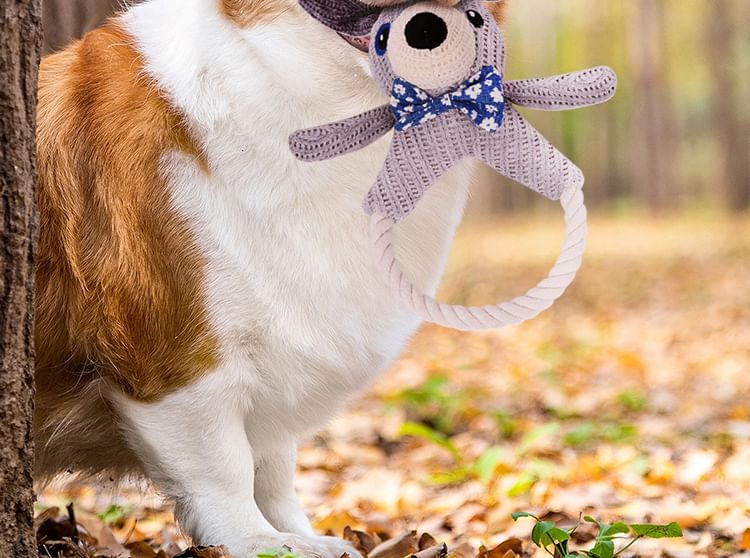 Miumi - Kauwspeeltje voor huisdieren (verschillende ontwerpen)