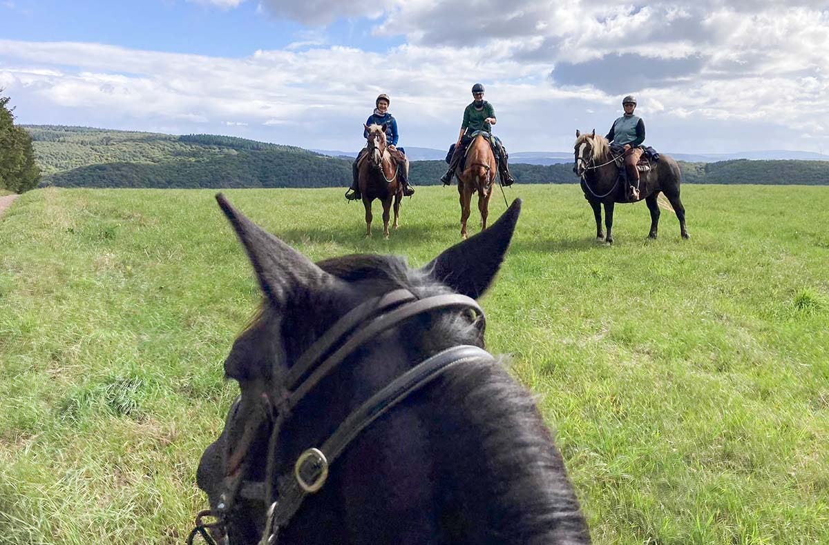 Wanderreiten mit Picknick Weiler bei Monzingen