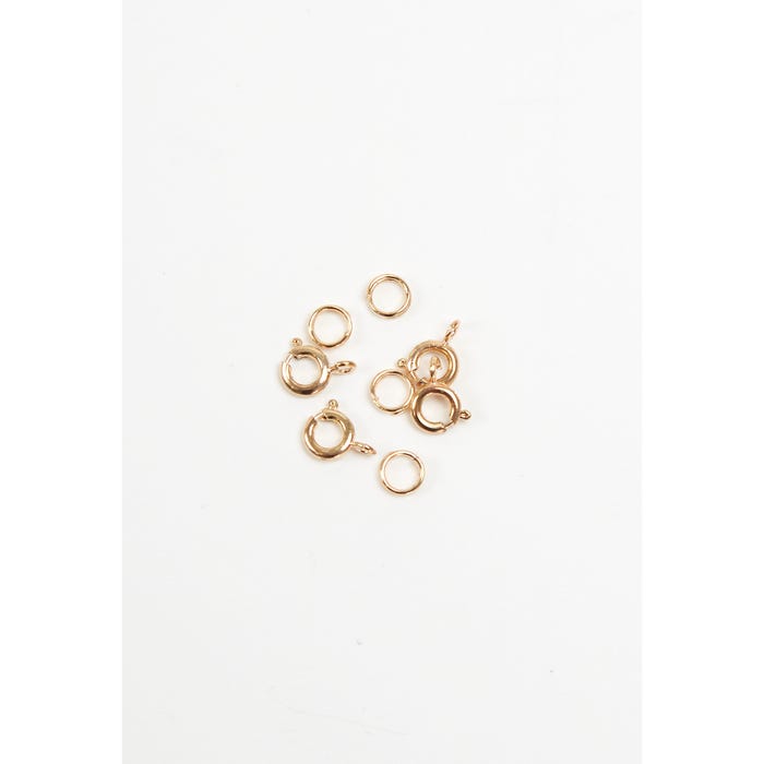 Atelier Veritas-Ringslotje 4 stuks