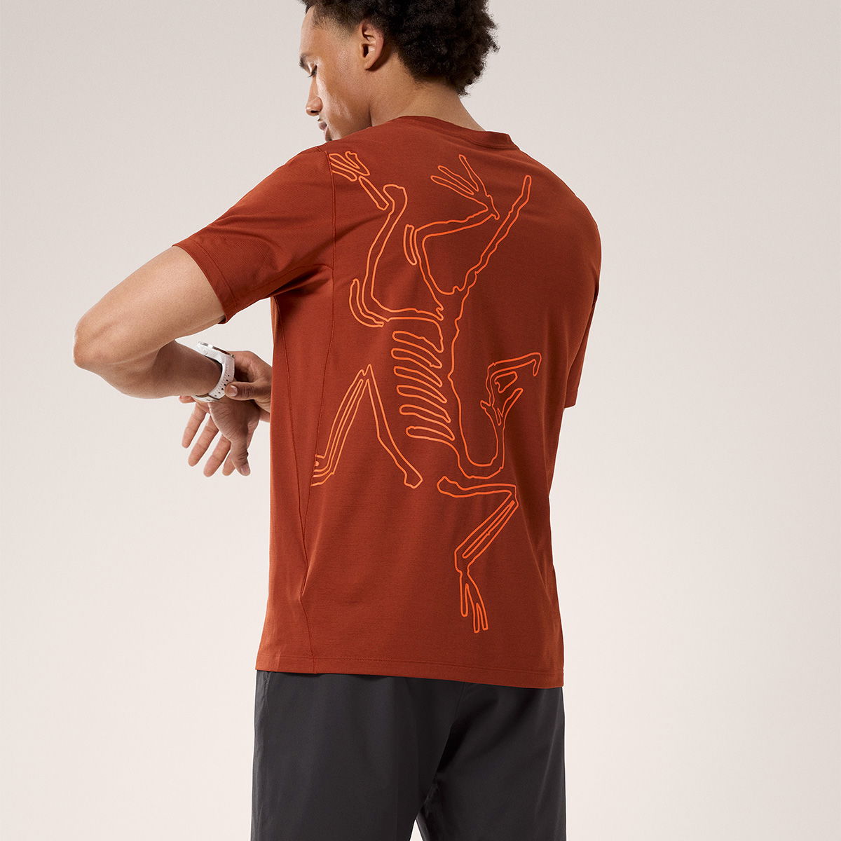 Arc'teryx Cormac Arc'Bird Logo T-shirt, herre (Sequoia)