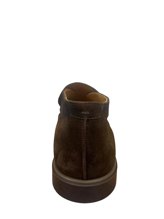 Magnanni 25810 Bruin