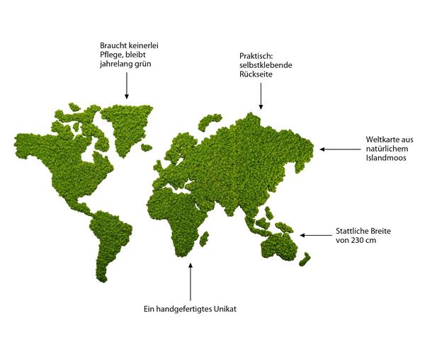 styleGREEN Weltkarte aus Islandmoos,