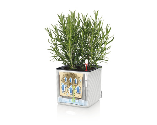 Lechuza Cube Color bloempot van kunststof, 14x14x14 cm, leigrijs, inclusief zelfbewateringssysteem en waterniveau-indicator