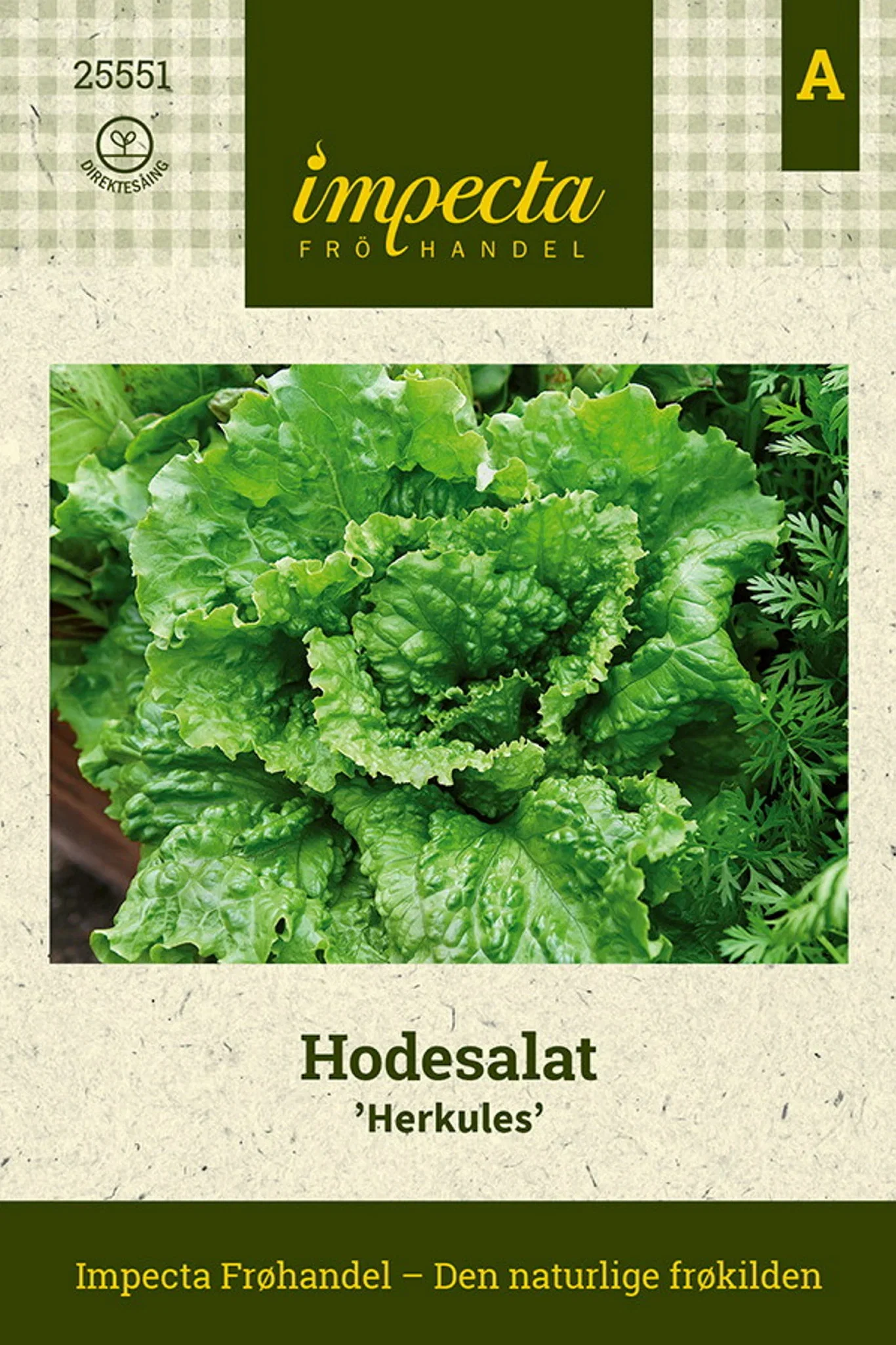 Lactuca sativa 'Herkules' Hodesalat 'Herkules'