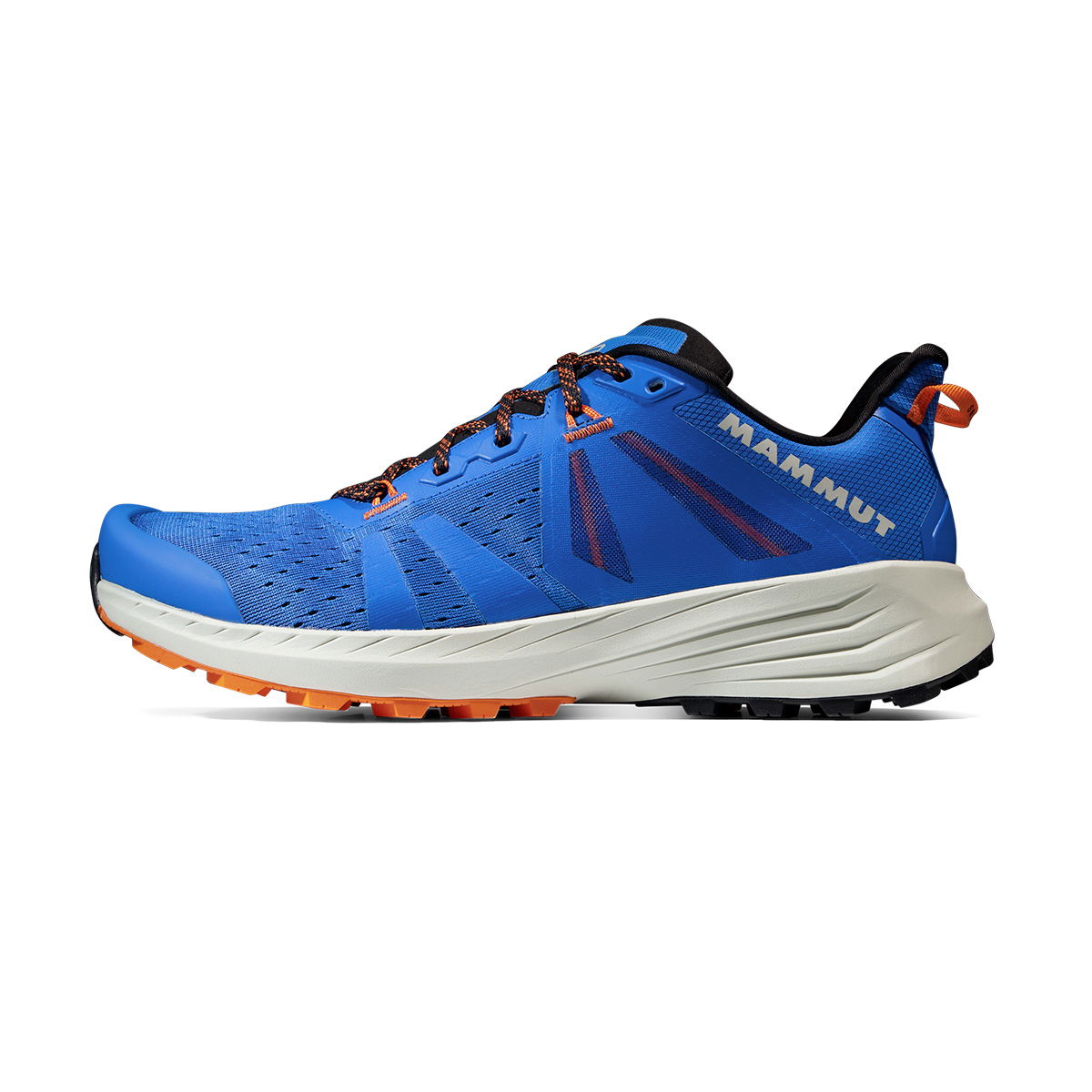 Mammut Saentis TR Low vandresko, herre