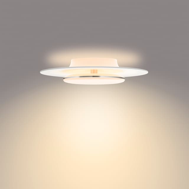 Philips Garnet loftslampe 30W