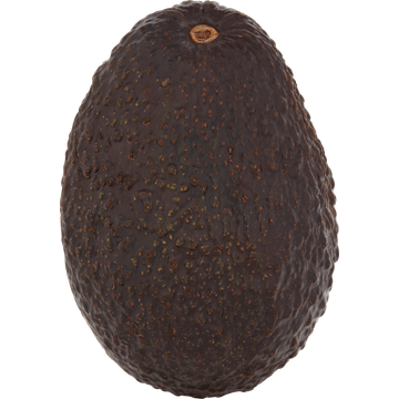 Jumbo Avocado