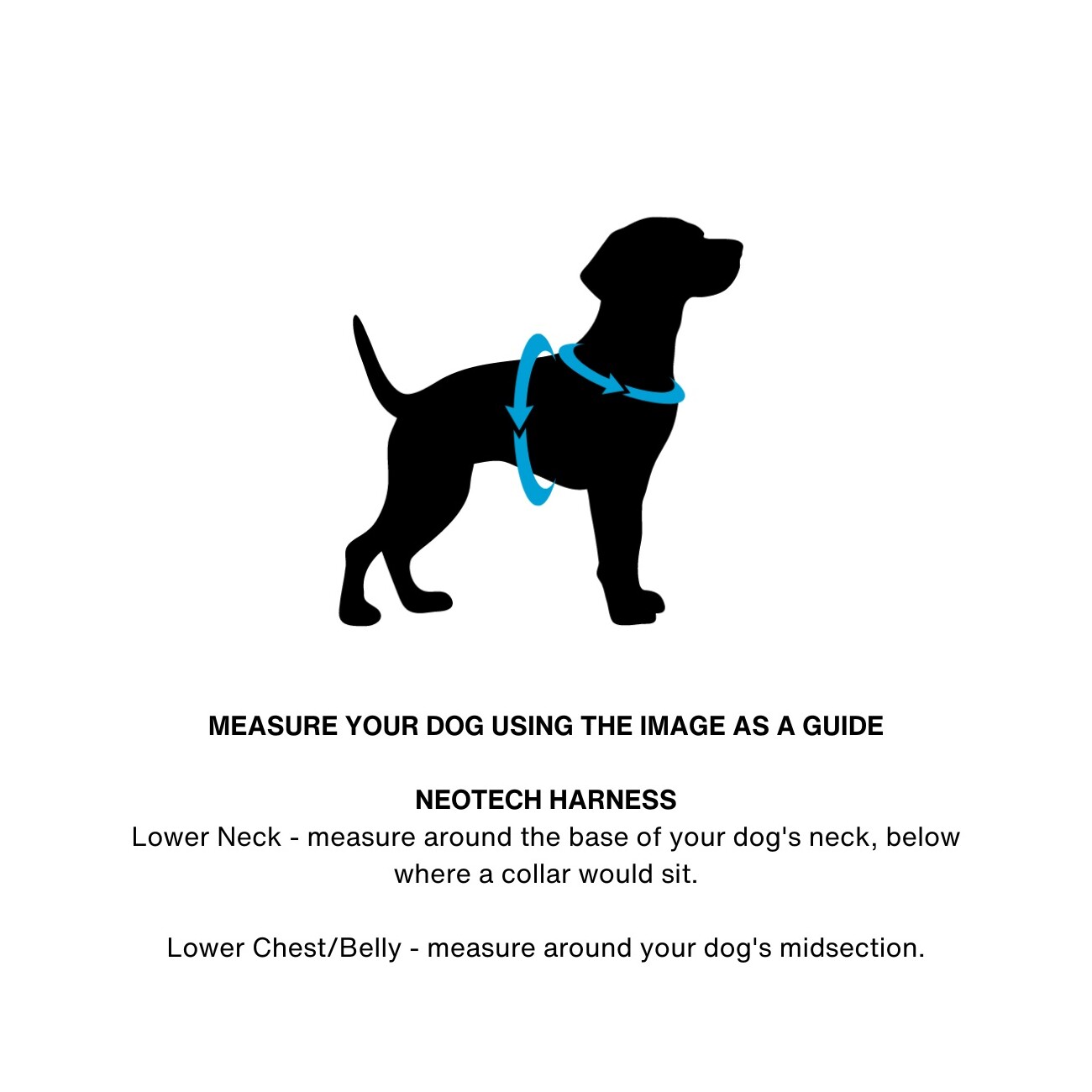 DOOG Neotech Harness RED S