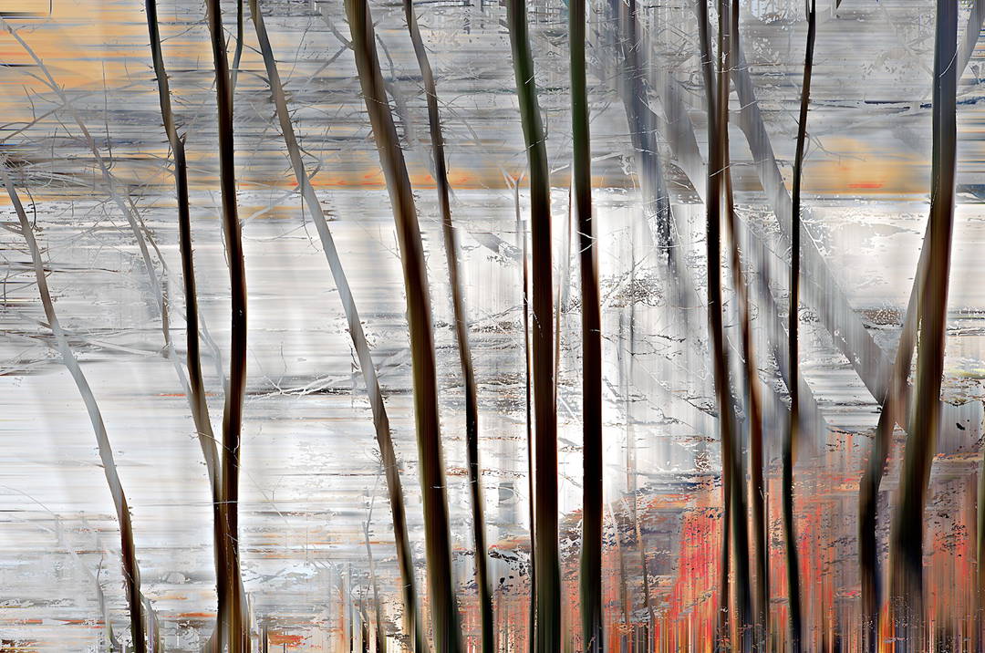 Wood XXV by Sabine Wild - Limited Edition. Edition of: 150. Signed.