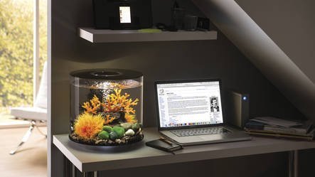 biOrb Tube 35 MCR Wit  | Aquarium
