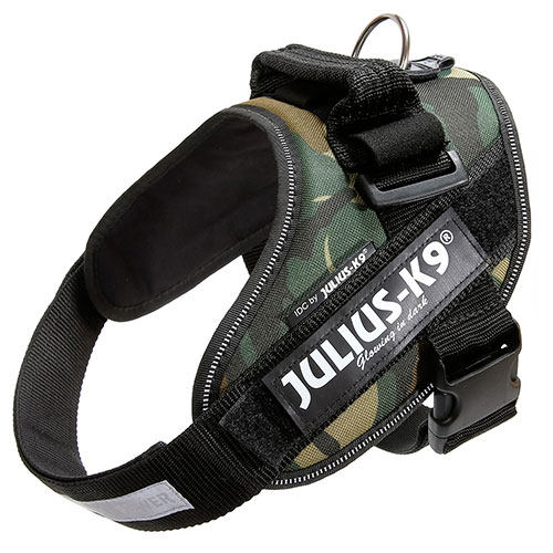 Coleira de camuflagem Julius K9 IDC para cães