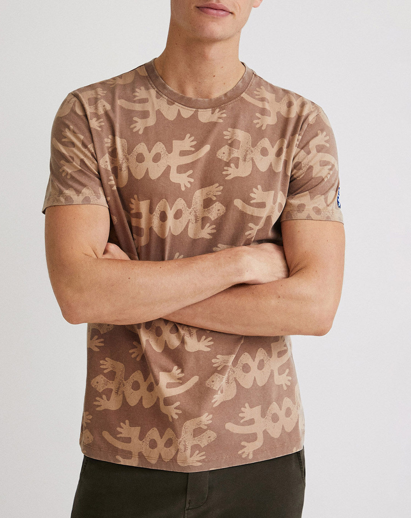 Desigual T-Shirt Igor taupe