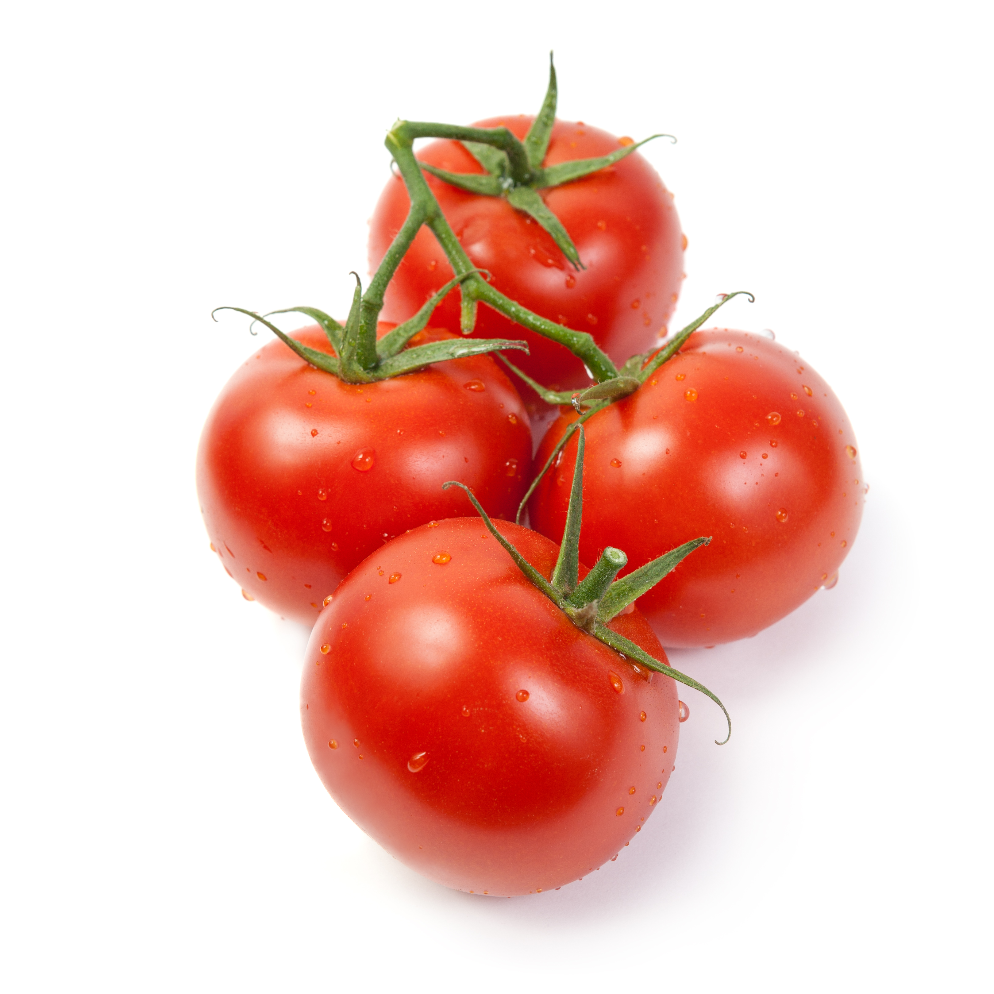 Sachet de graines de tomates saint pierre - sachet de 1 grammes - petite entreprise française - made in france