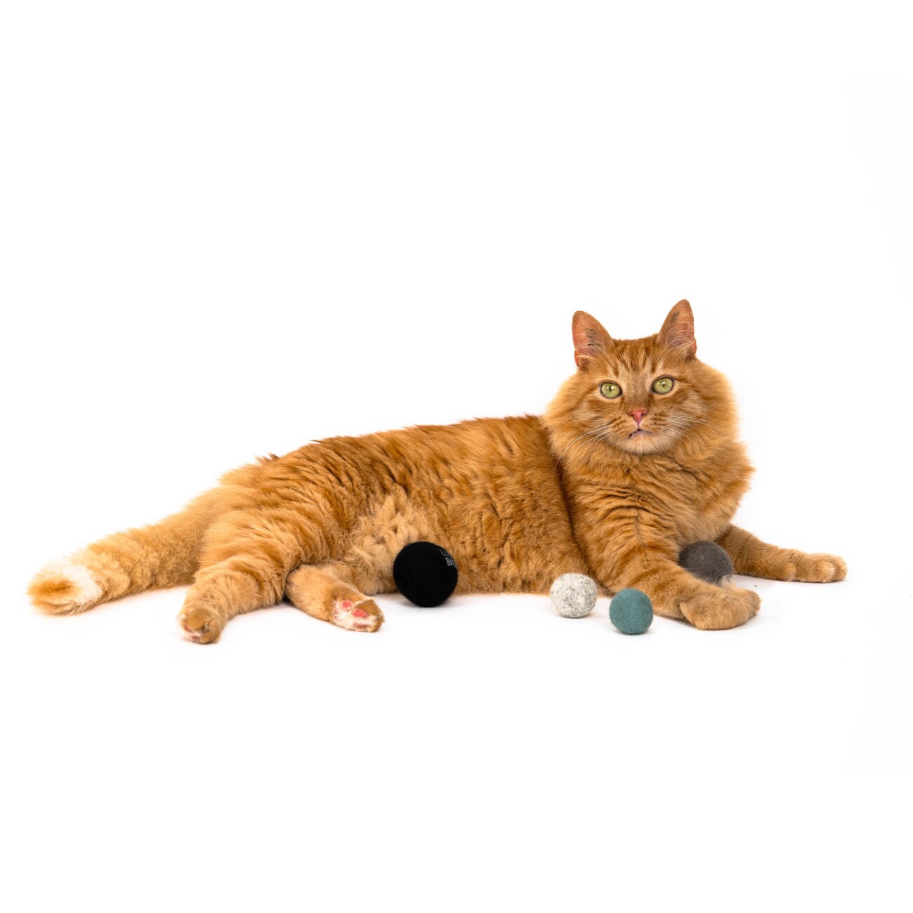 LucyBalu JOY BAG Katzen Filzbälle