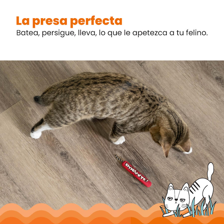 Gatos de pelúcia vermelhos da Outward Hound Catstages Green Magic Dynamite