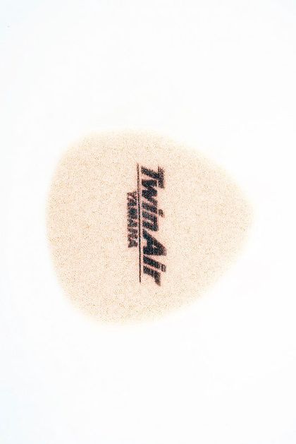 Filtre à air Twin air 152000