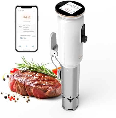 INKBIRD WiFi Thermoplongeur Sous Vide ISV 101W, Cuisson Basse Température 1000W: Écran TFT, Cuisson De Réservation App, Protection Du Niveau D'eau, Avertissement De Température, 0℃~95℃, Réglable 0,1℃ : Cuisine et Maison