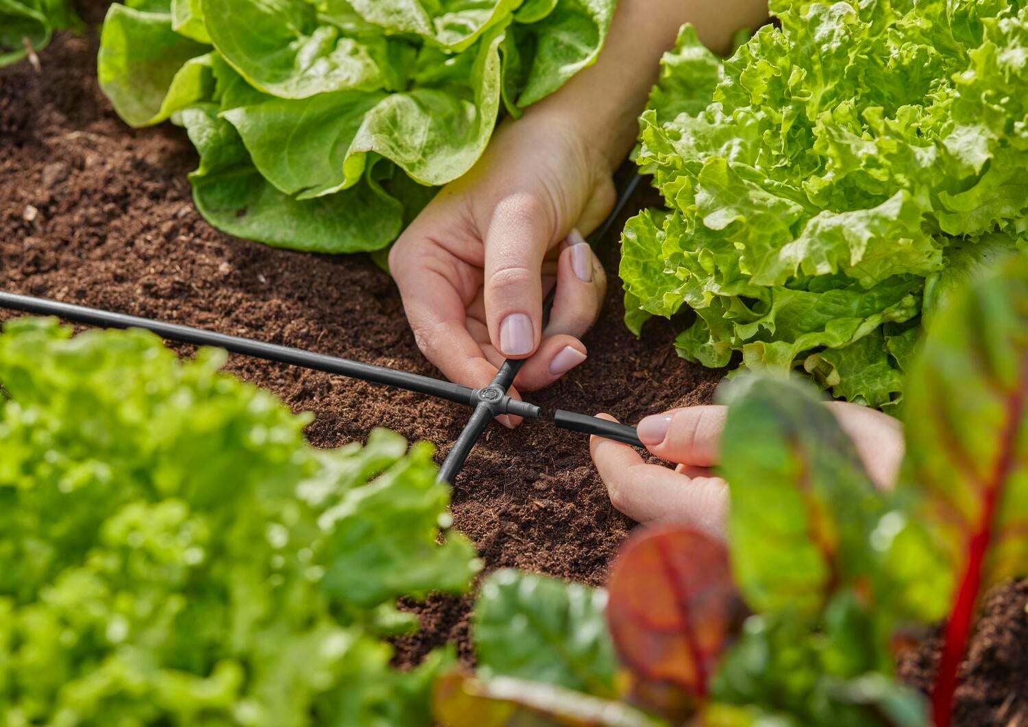 Gardena Micro Drip systeem kruisstuk 4,6 mm (3/16