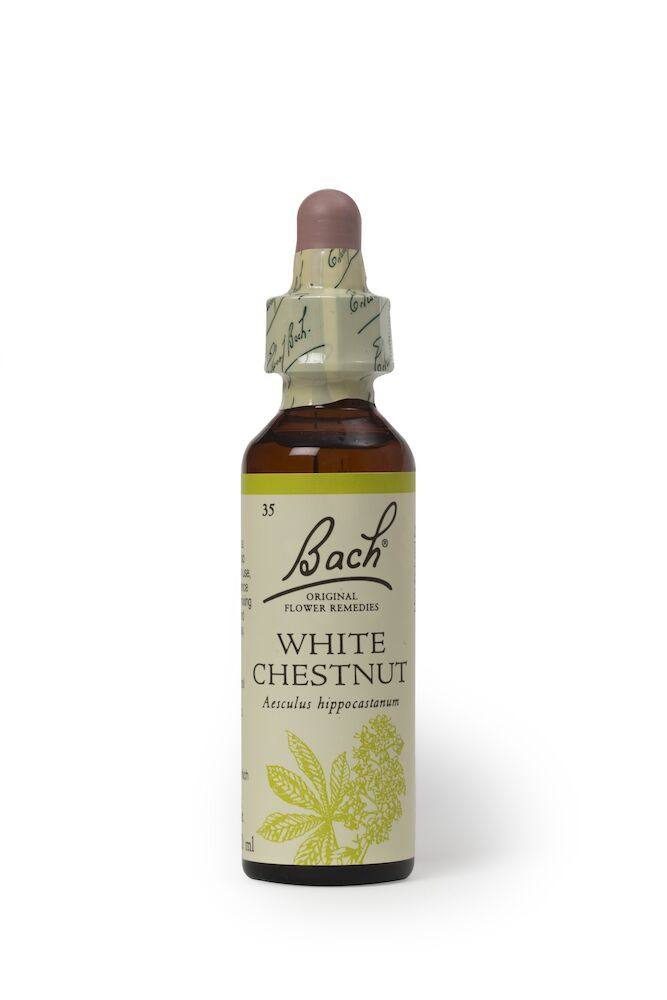 Bach White Chestnut