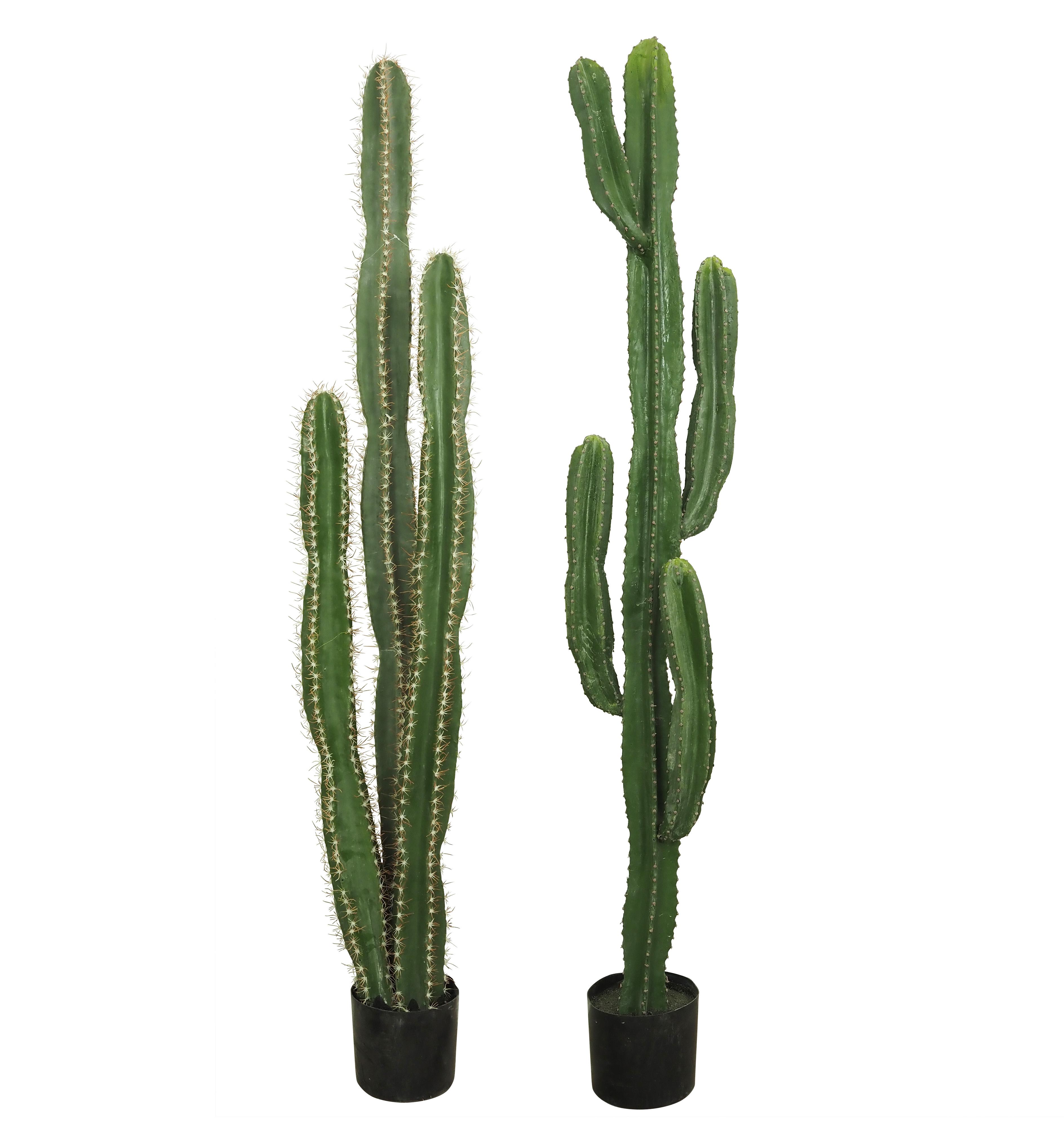 CACTUS POT PLASTIQUE NOIR H.155CM