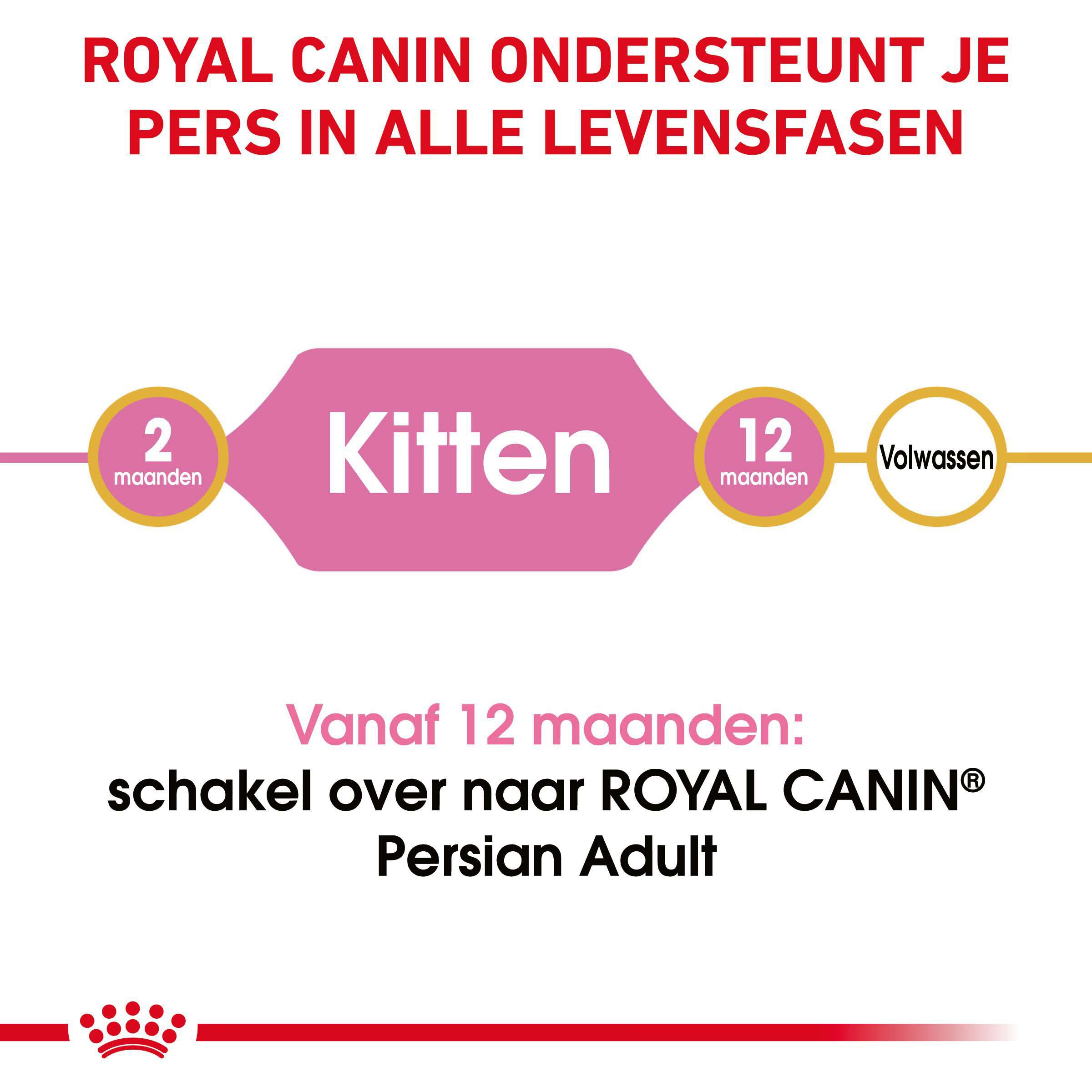 Royal Canin Persian Kitten - Kattenvoer - 10 Kilogram - Gevogelte