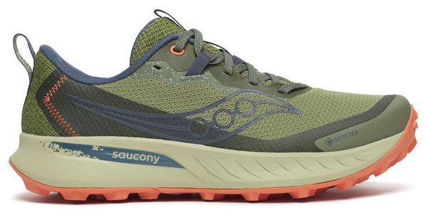 Chaussures Trail Saucony Peregrine 15 GTX Vert/Beige Femme