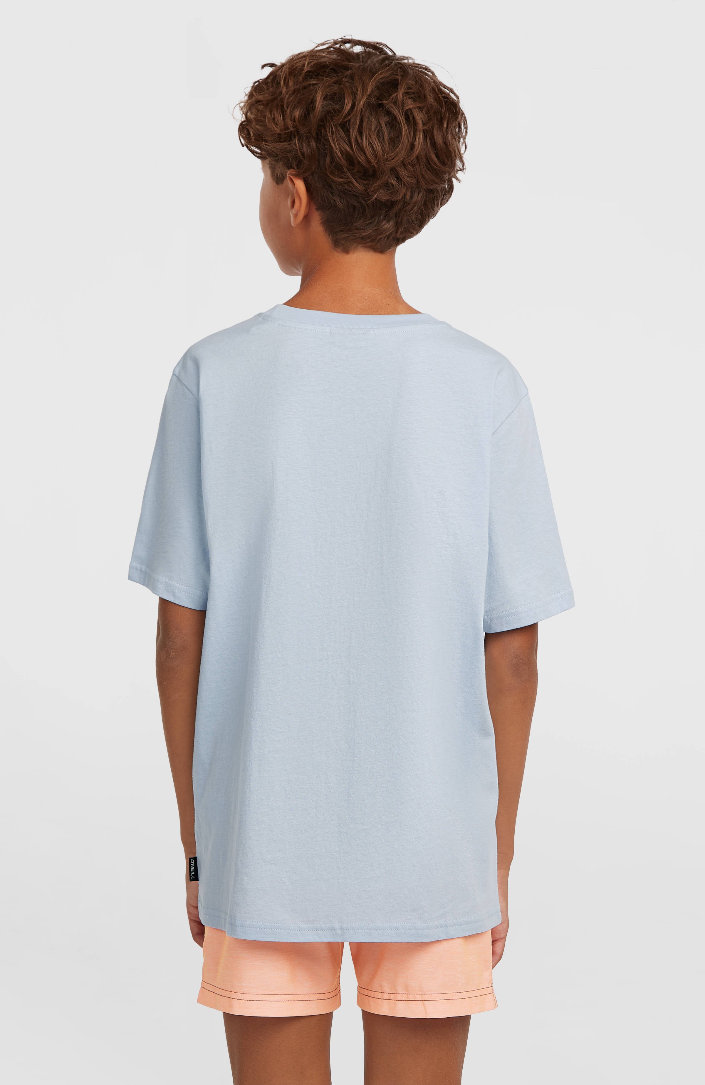O'Neill Logo Stripe T-shirt