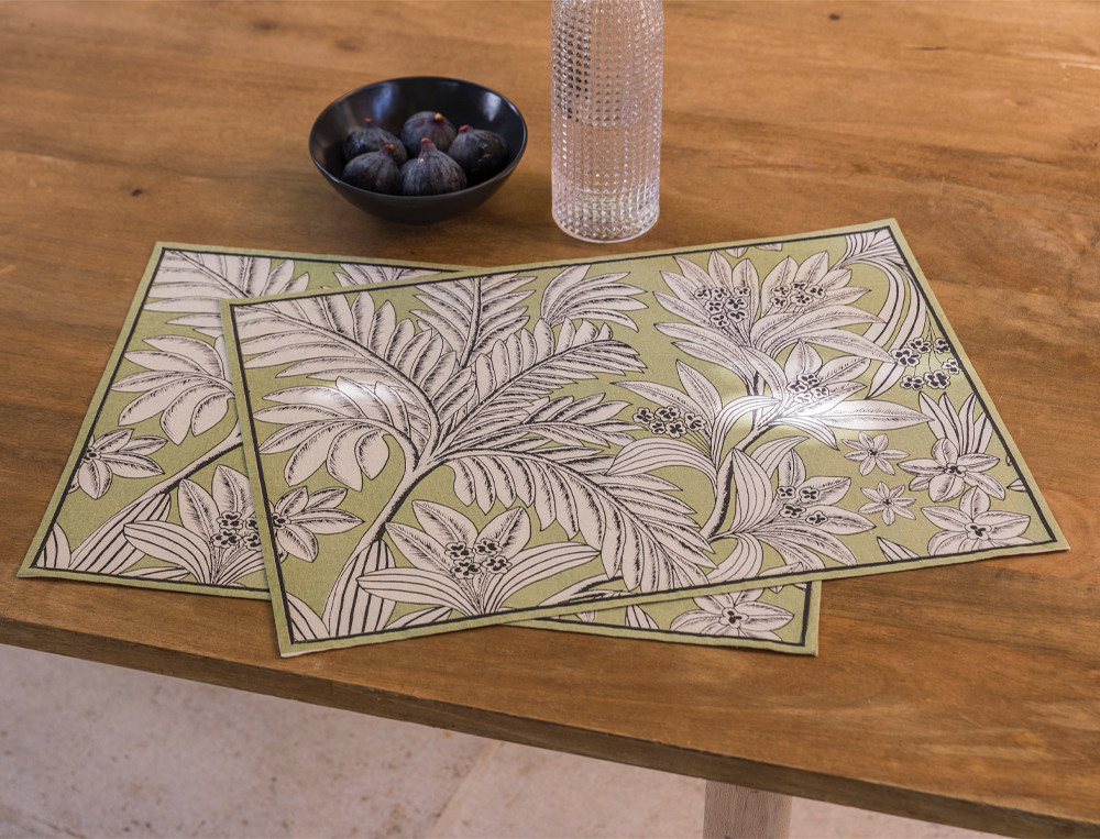 Lot de 2 sets de table-Pistache