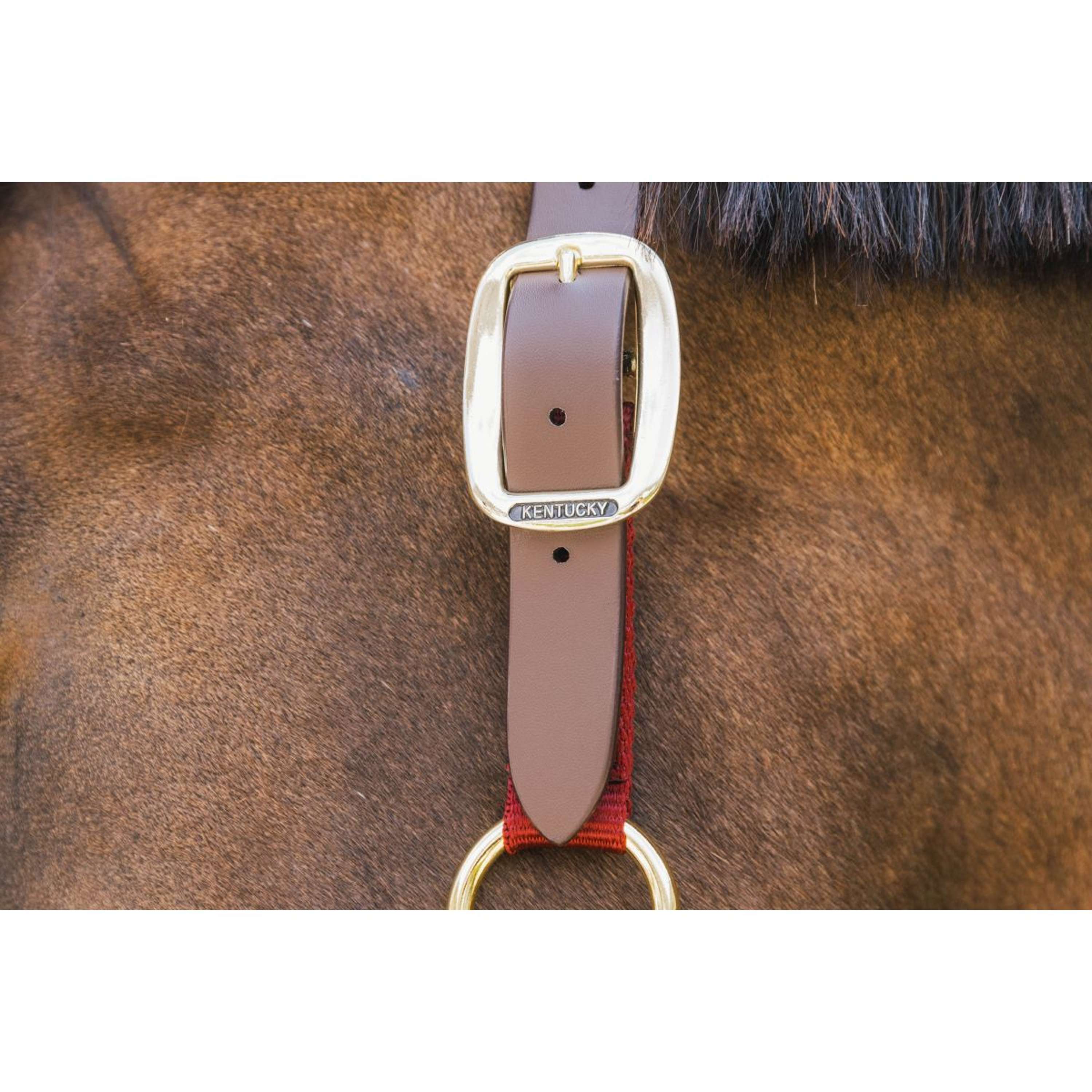 Kentucky Halster Nylon Breakaway Bordeaux