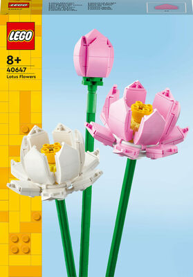 LEGO Iconic 40647 Lotusblomster