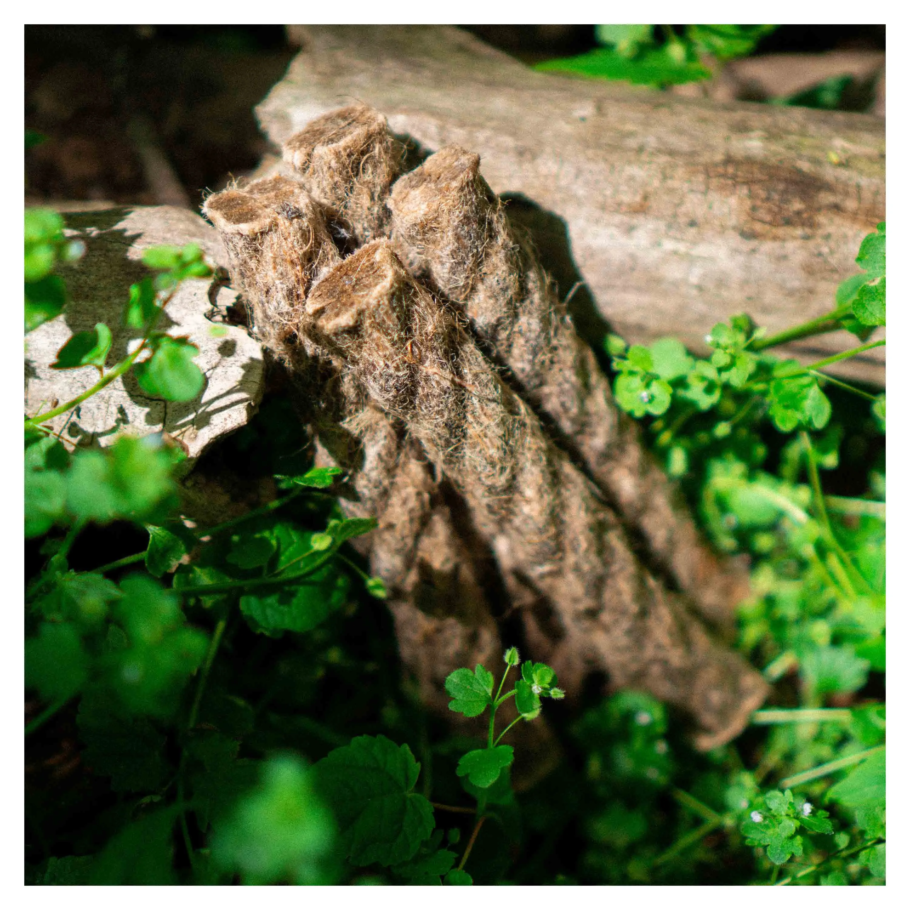 Survival Stuff -  Survival Stuff Hanfseil FAT Rope natur