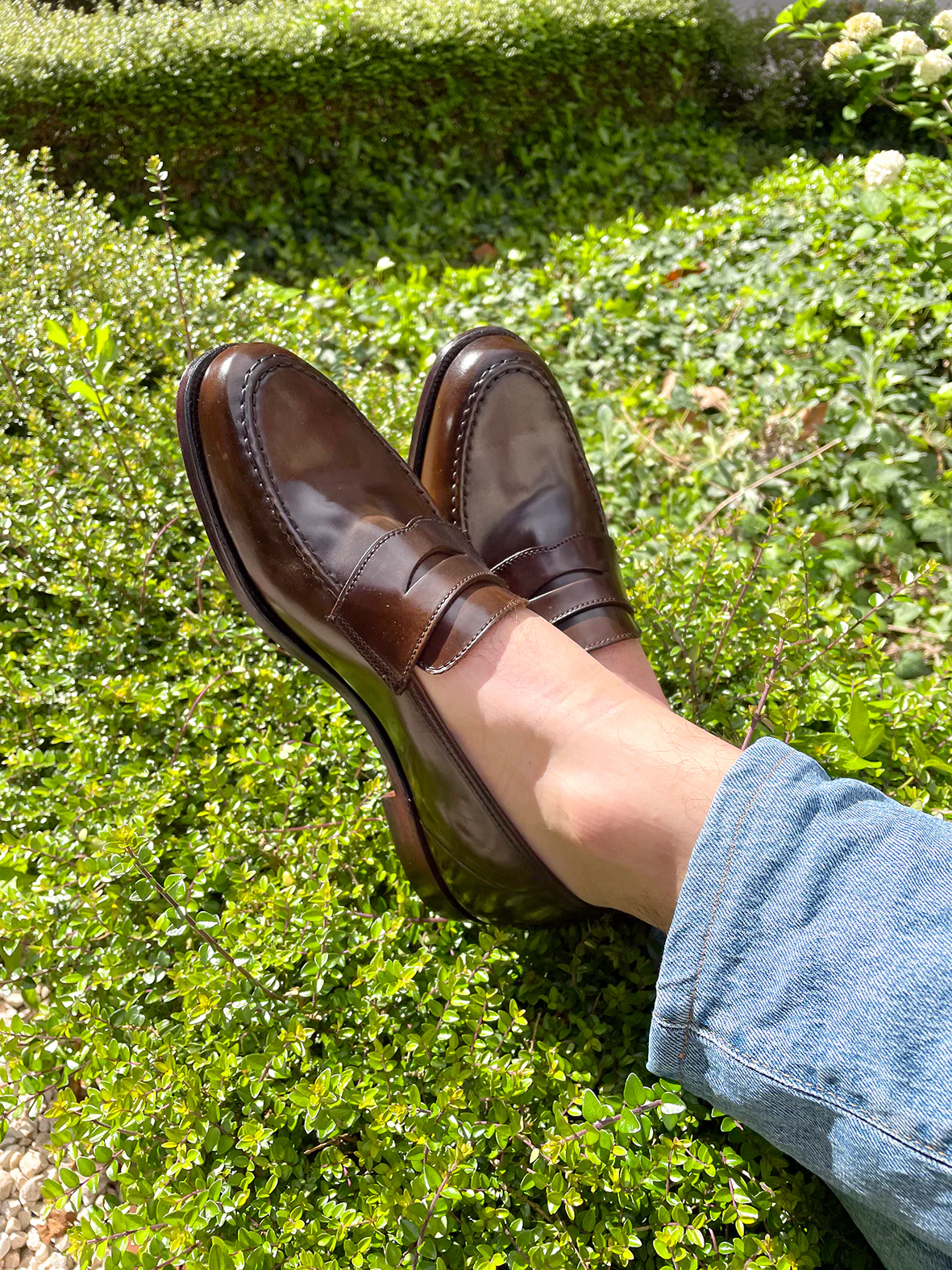CROCKETT AND JONES - HARVARD WHISKY CORDOVAN WHISKY