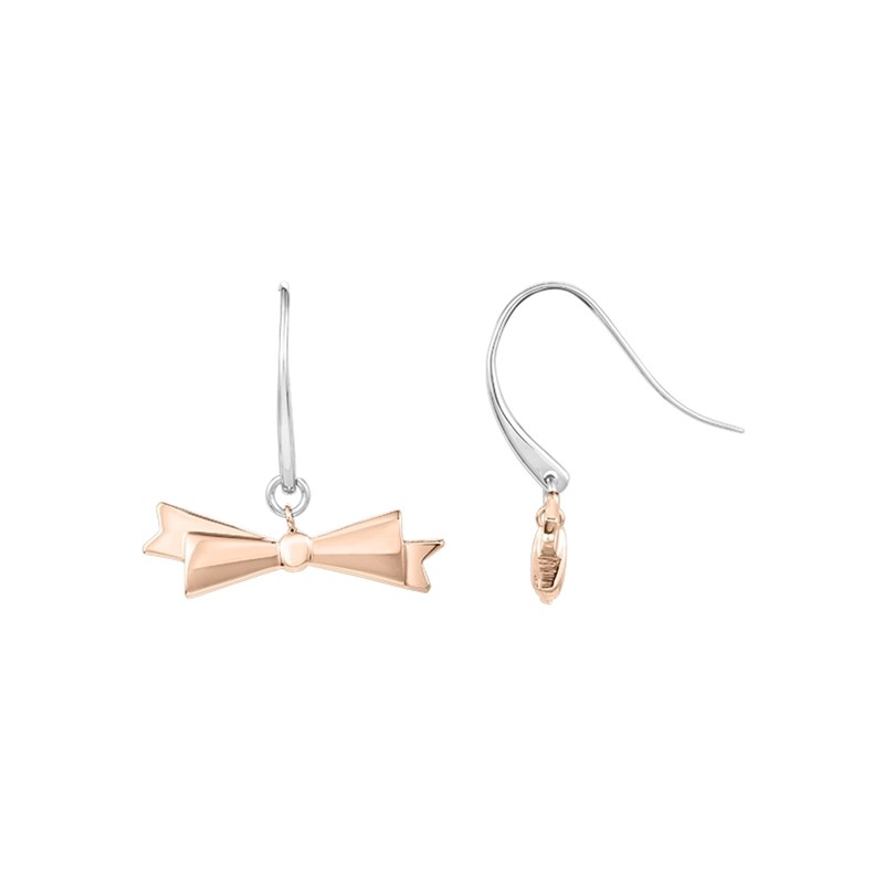 Boucles d'oreilles pendantes en Acier