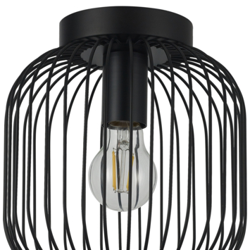 KARWEI plafondlamp Vic zwart 23xØ21cm