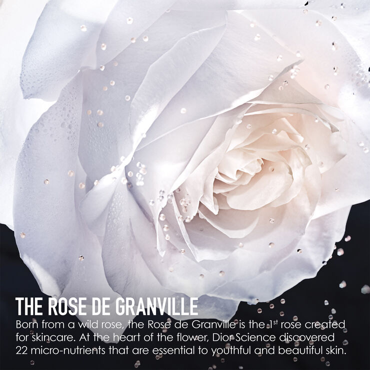 DIOR Prestige Le micro-caviar de rose No color