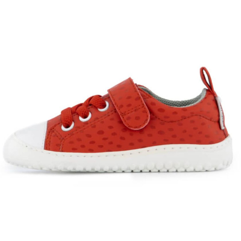 Zapato feroz Zapato Feroz Rockers Paterna Ulises Rouge