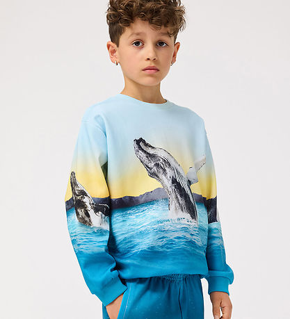 Molo Sweatshirt - Mixi - Whale Jump