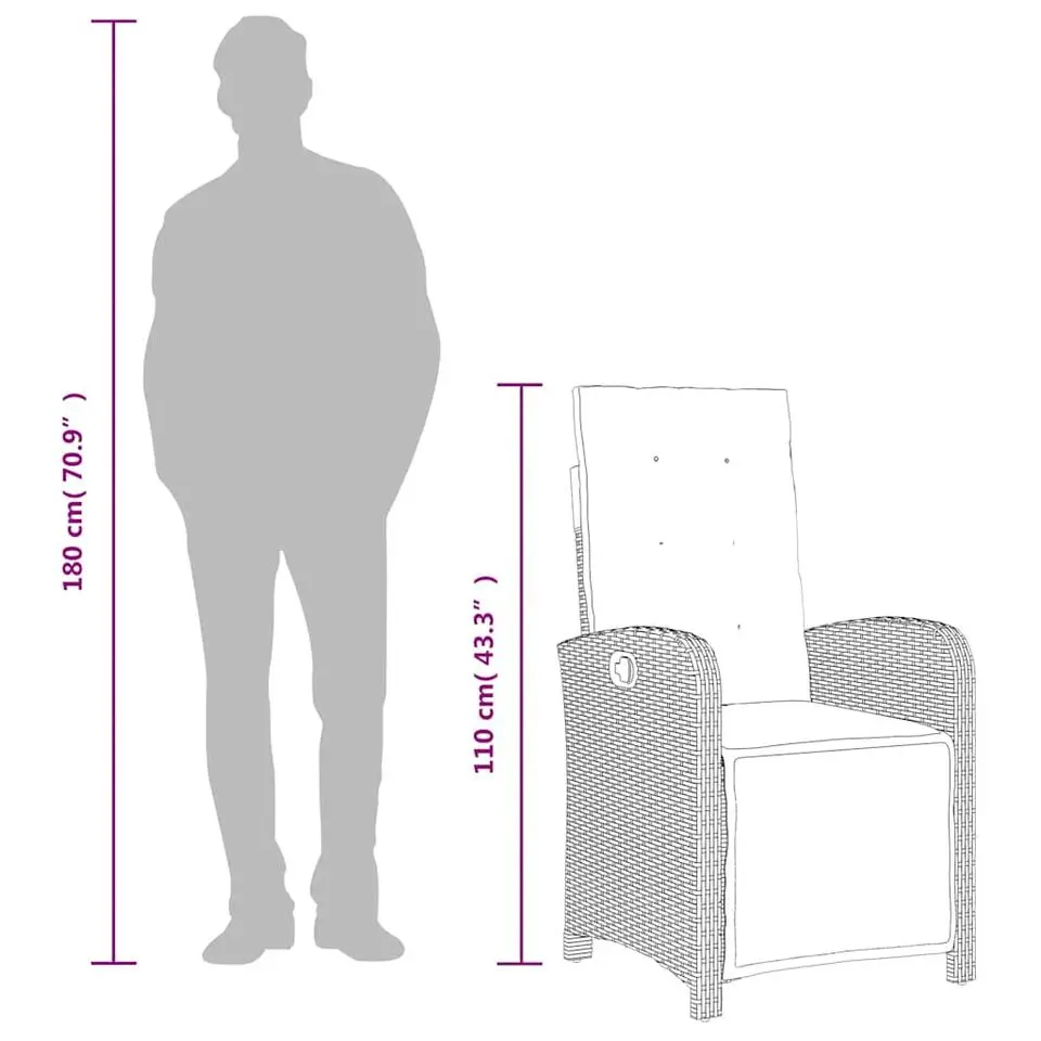 vidaXL - Verstelbare tuinstoelen - Kussens - Zwart - Poly rattan - 2 stuks