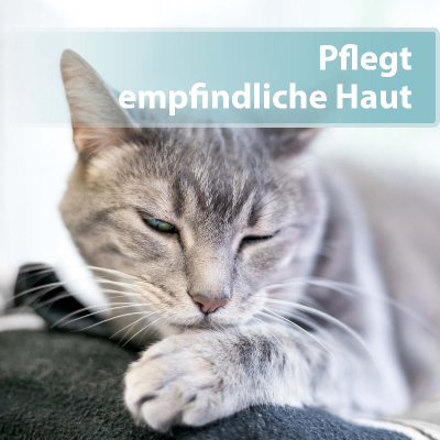 Felisept Hautpflegespray für Katzen 250ml