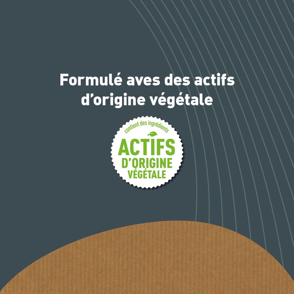 Poudre bien-être intestinal oiseaux